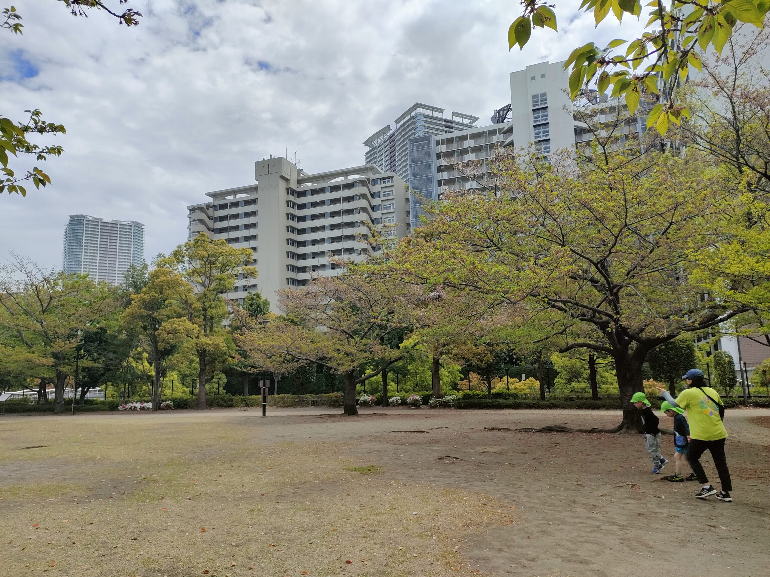 ぶらり親子公園散歩⑫ 　晴海第一・第二公園